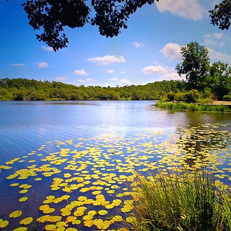 Vacances Dans Les Landes Aureilhan  Dış mekan fotoğraf